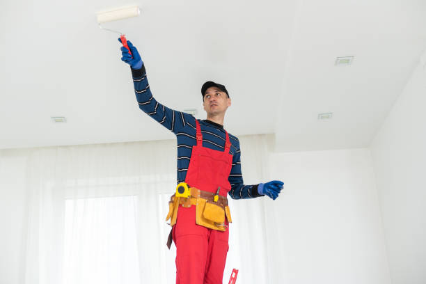 Best Mold Removal for HVAC Installations  in USA